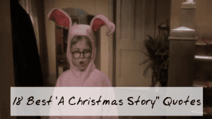 A Christmas Story Quotes. QuotesGram
