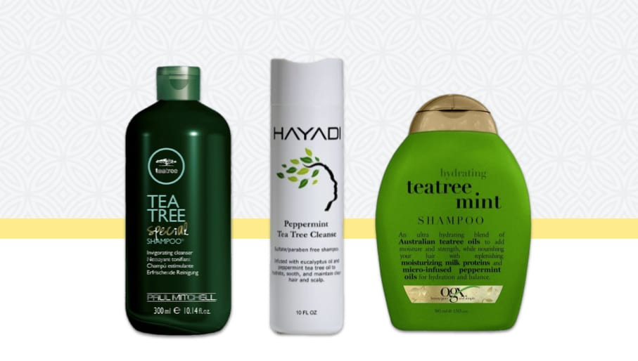 2020 S Best Tea Tree Shampoos For Itchy Scalp Mint Tea