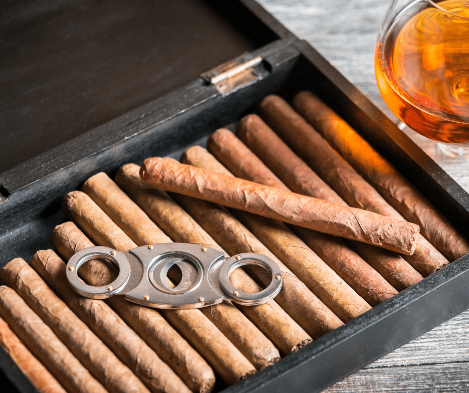 Best Cigar Humidors 2025