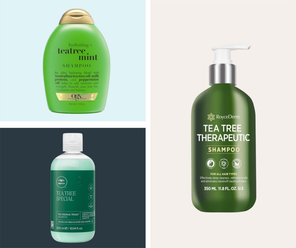 Best Tea Tree shampoo For men 2026 - Tea Tree For Itchy Scalp that Works