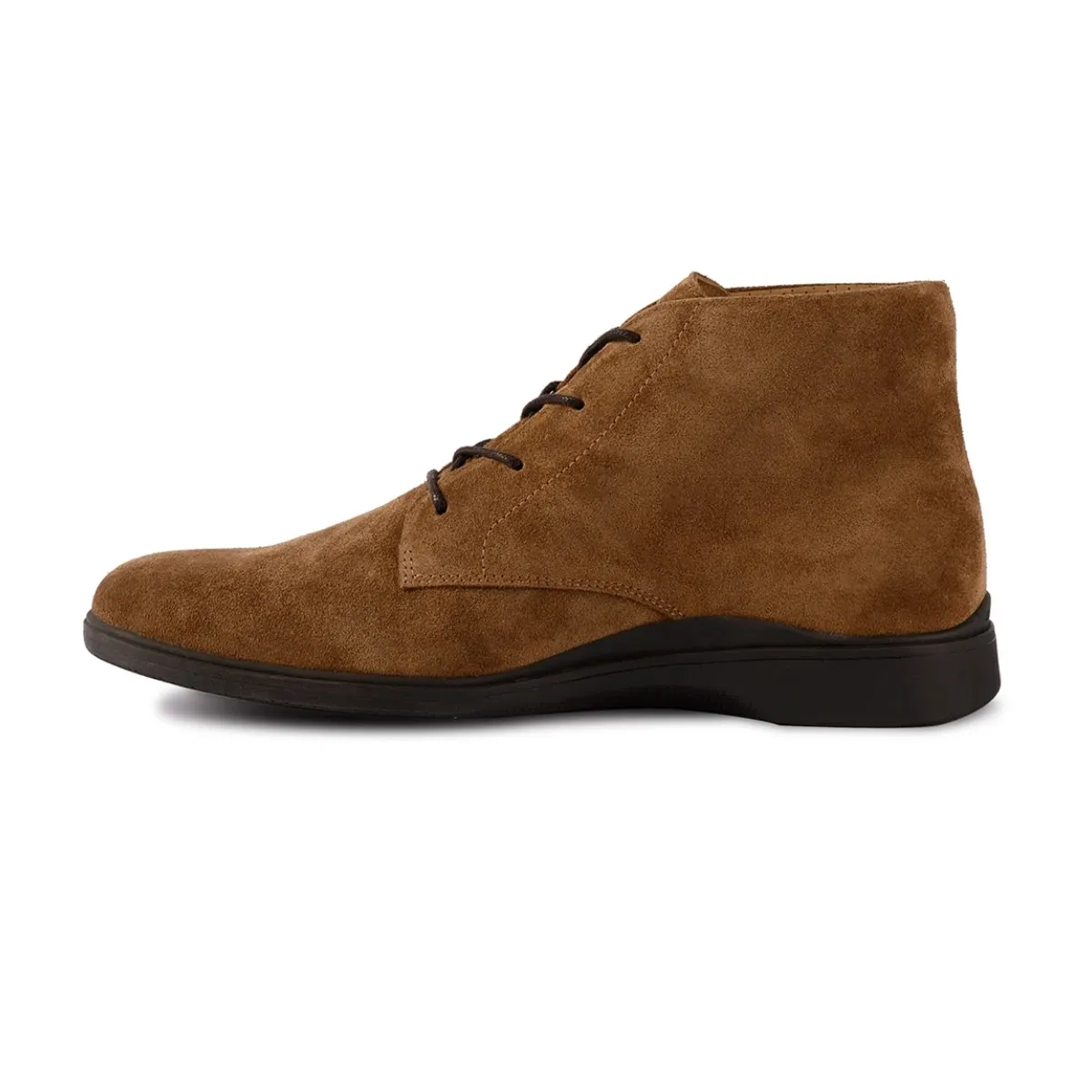 Amberjack The Chukka