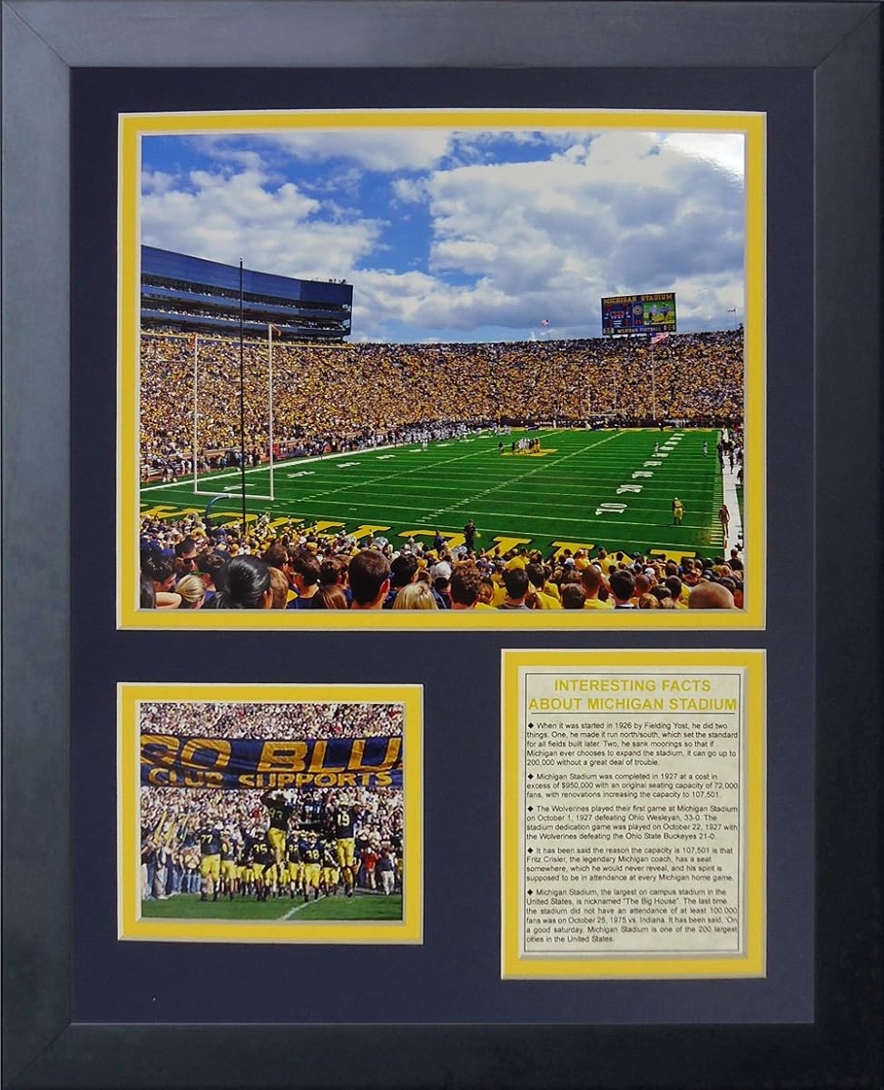 Legends Never Die 'The Big House' Stadium Collage