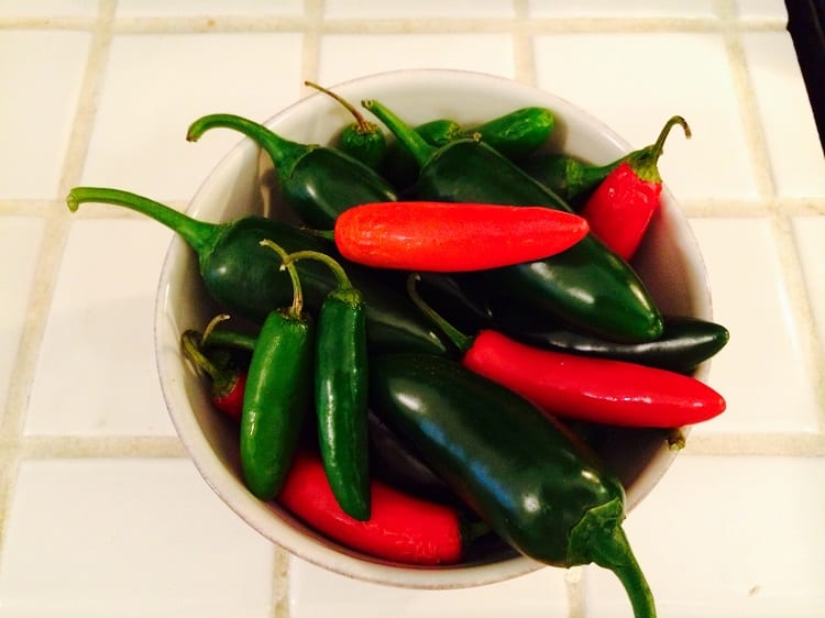 Hot Peppers