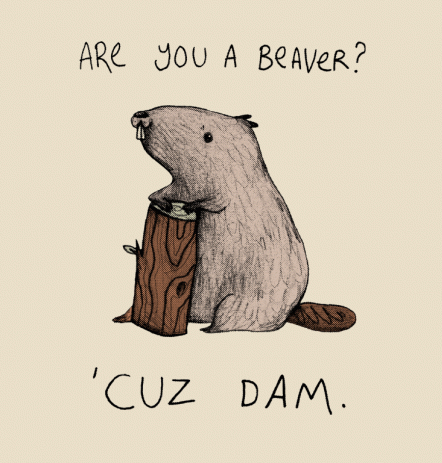 funny-beaver-t-shirt-for-men-2016
