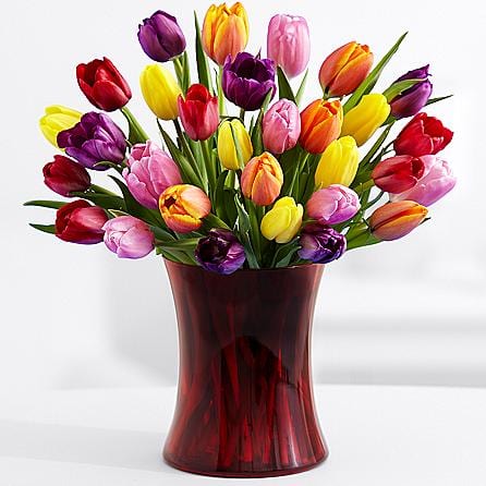 Mother's Day Tulips 2016