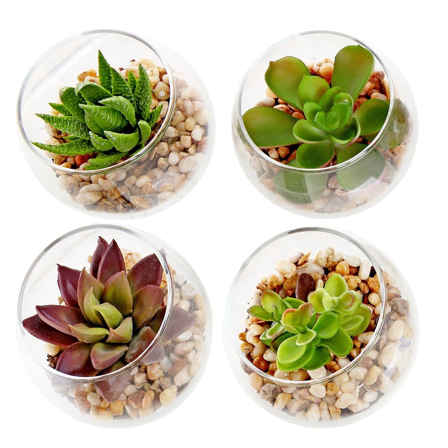gifts-for-host-2017-set-of-4-mini-succulents-2016