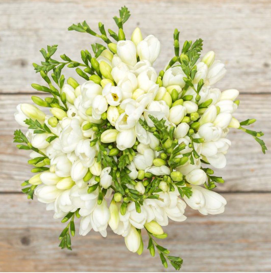 Hero White Freesia Bouquet