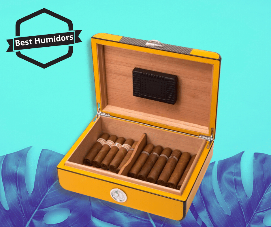Best Cigar Humidor 2022 - Reviews of Humidors on Sale