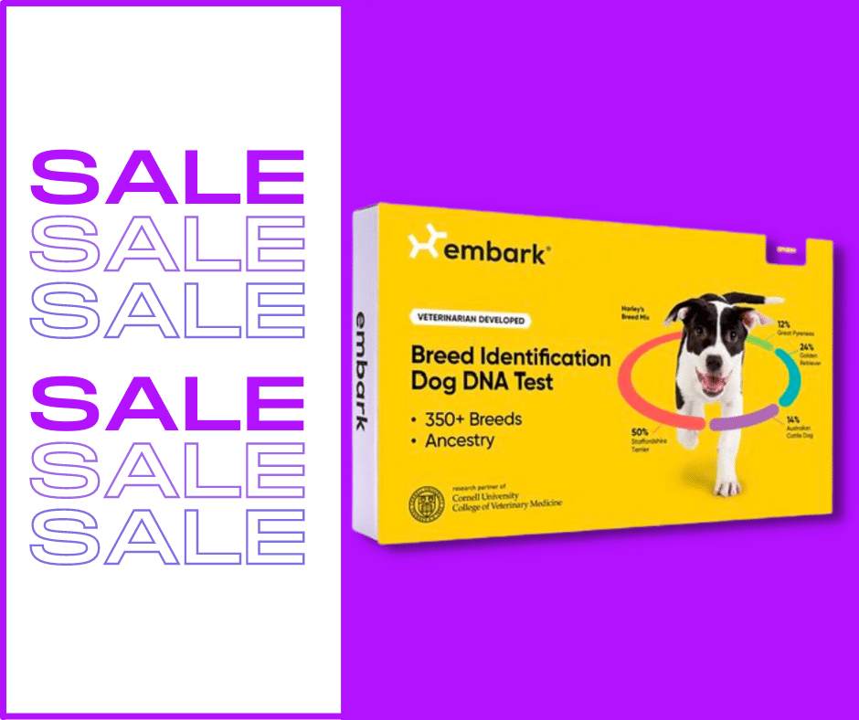 Dog DNA Tests on Sale May 2024. - Deals on Embark Breed Identifier Kits