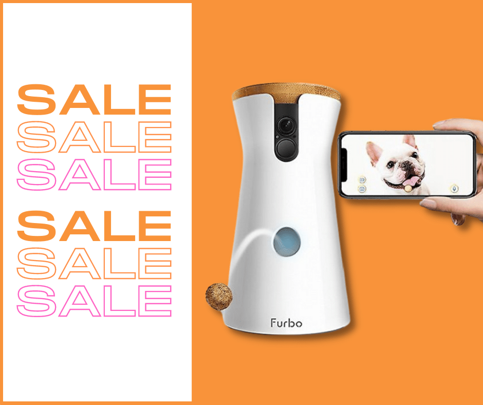 Pet Cameras on Sale Presidents Day Weekend 2022!! - Deals on Dog Cams