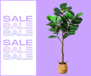 Fake Plants on Sale Columbus Day 2022!! - Deals on Artificial Plants & Trees