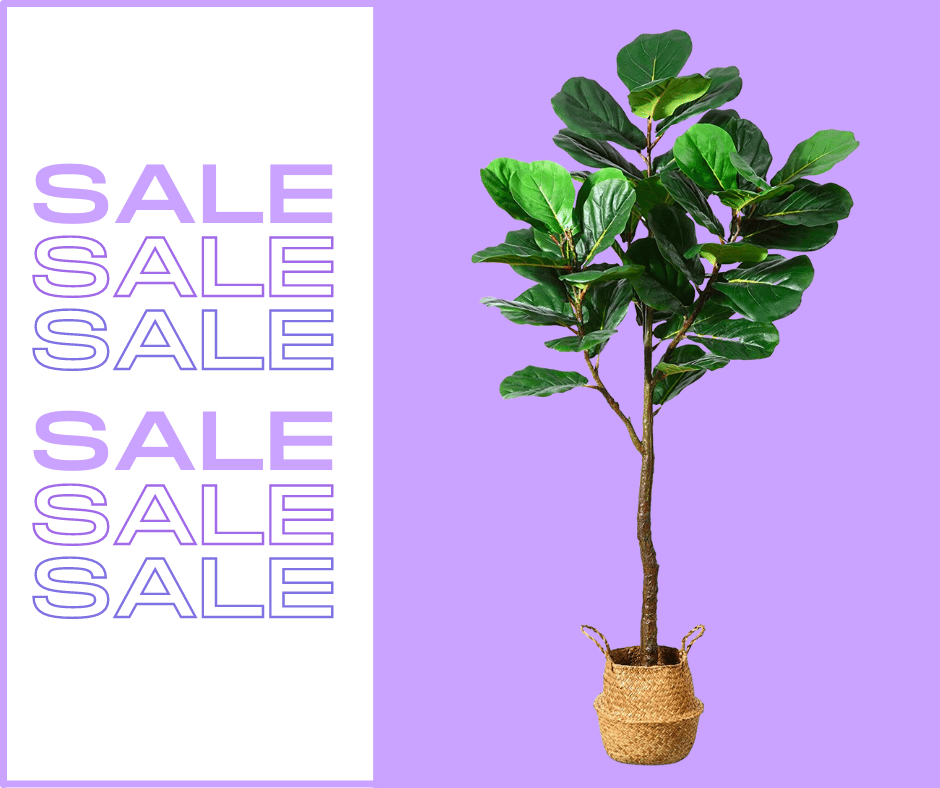 Fake Plants on Sale this Memorial Day Weekend! - Deals on Artificial Plants & Trees