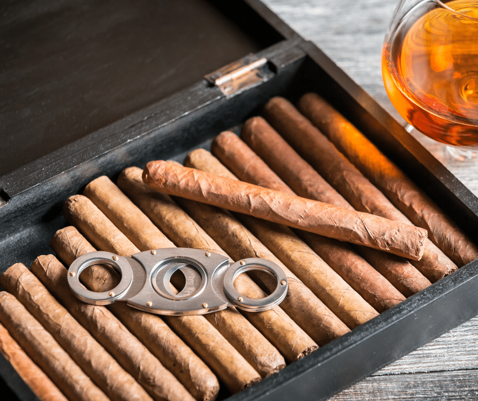 Best Cigar Humidors 2024