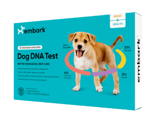 Embark Health & Breed Dog DNA Kit on Sale