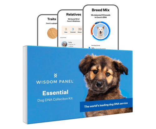 Wisdom Pane Dog DNA Kit on Sale