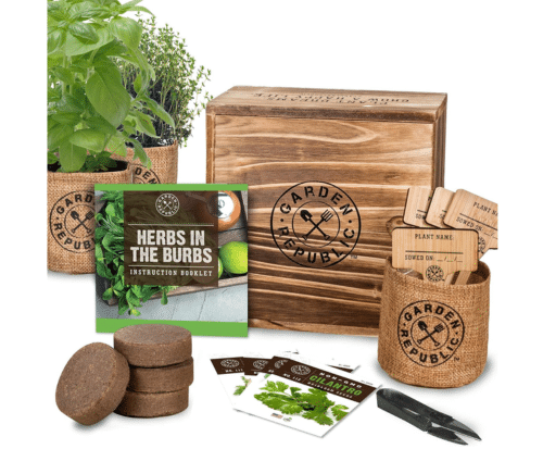 Herbs in the Burbs Indoor Herb Garden Starter Kit