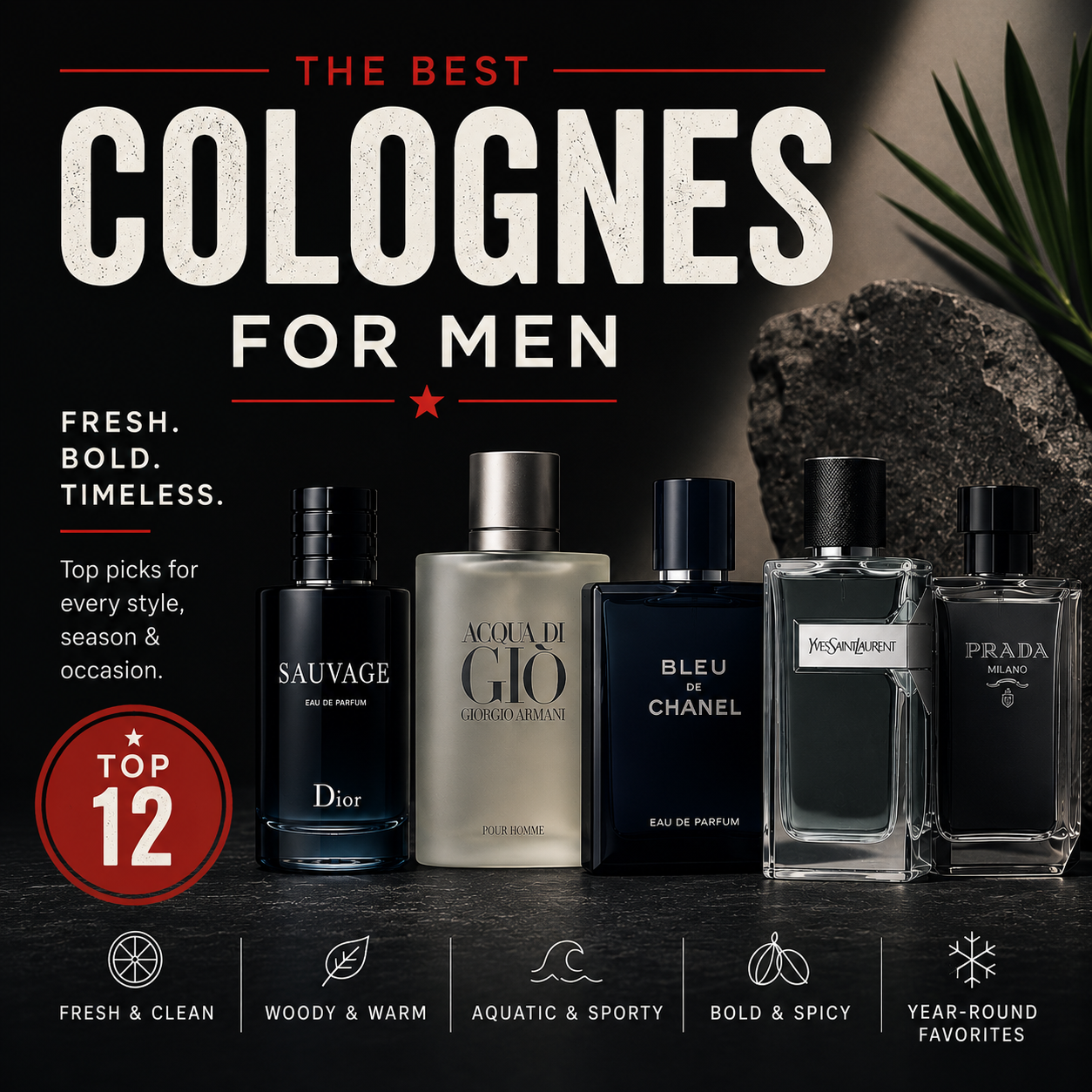 Best Colognes for Men 2026