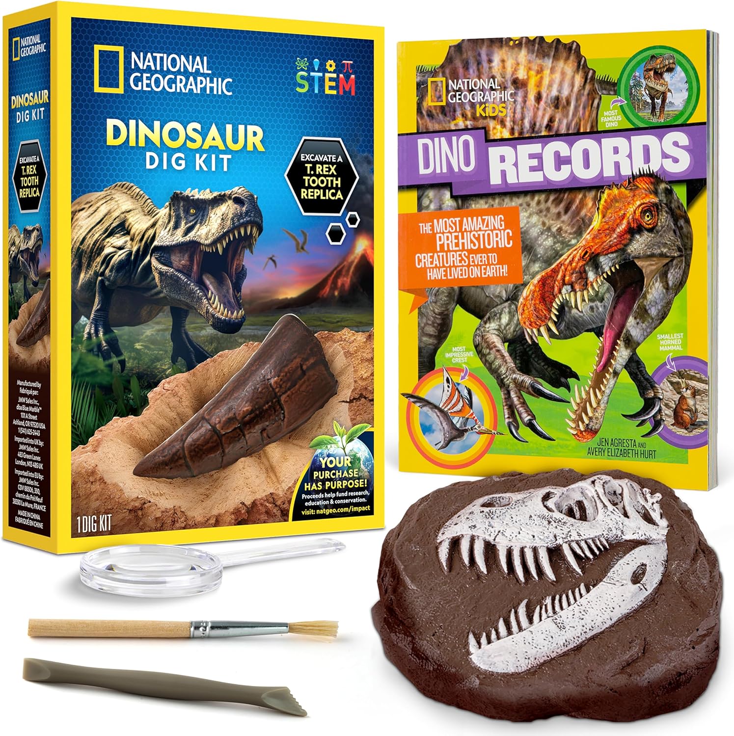 National Geographic Dino Fossil Dig Kit