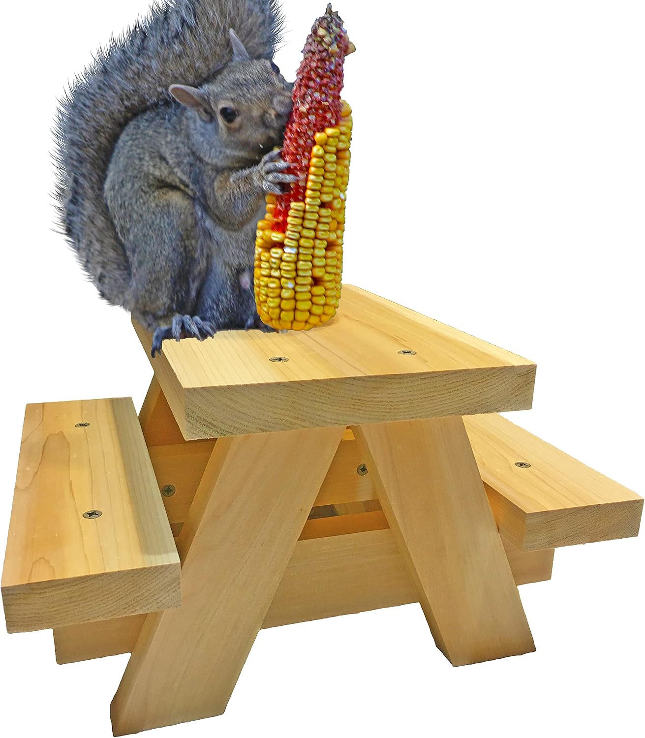 Squirrel Picnic Table Feeder