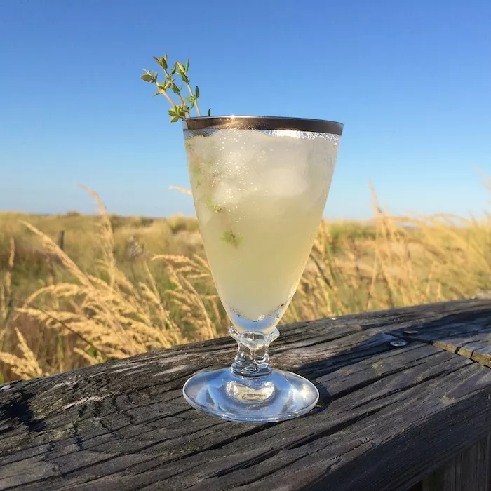 Gin Thyme Lemon