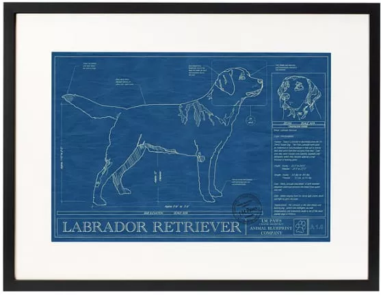 Dog Blueprints Framed 2016 - 2016 Gifts for Animal Lovers