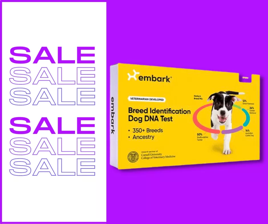 Dog DNA Tests on Sale Presidents Day Weekend (2023). - Deals on Embark Breed Identifier Kits